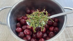 Boil the Cherry Stalks, Drink the Liquid, and You Will Be Grateful for the Advice