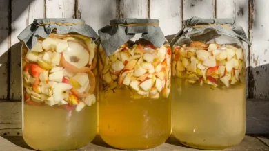 Homemade Apple Cider Vinegar A Step-by-Step Guide