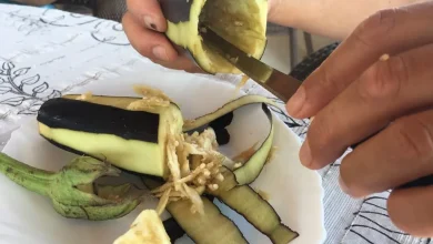 How to Make Gaziantep’s Famous Dried Eggplant