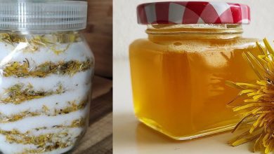 WITHOUT COOKING‼️ DANDELION SYRUP (Honey)